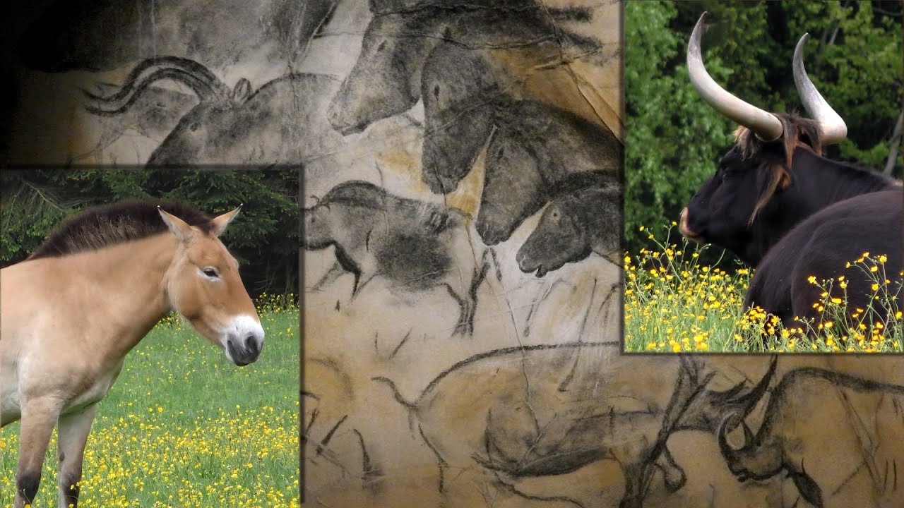 Cavallo di Przewalski e Uro: un tuffo nella preistoria