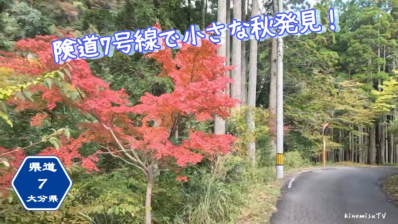 【旧道シリーズ】紅葉みながら苔むした山道を爆走！宮崎大分険道7号線
