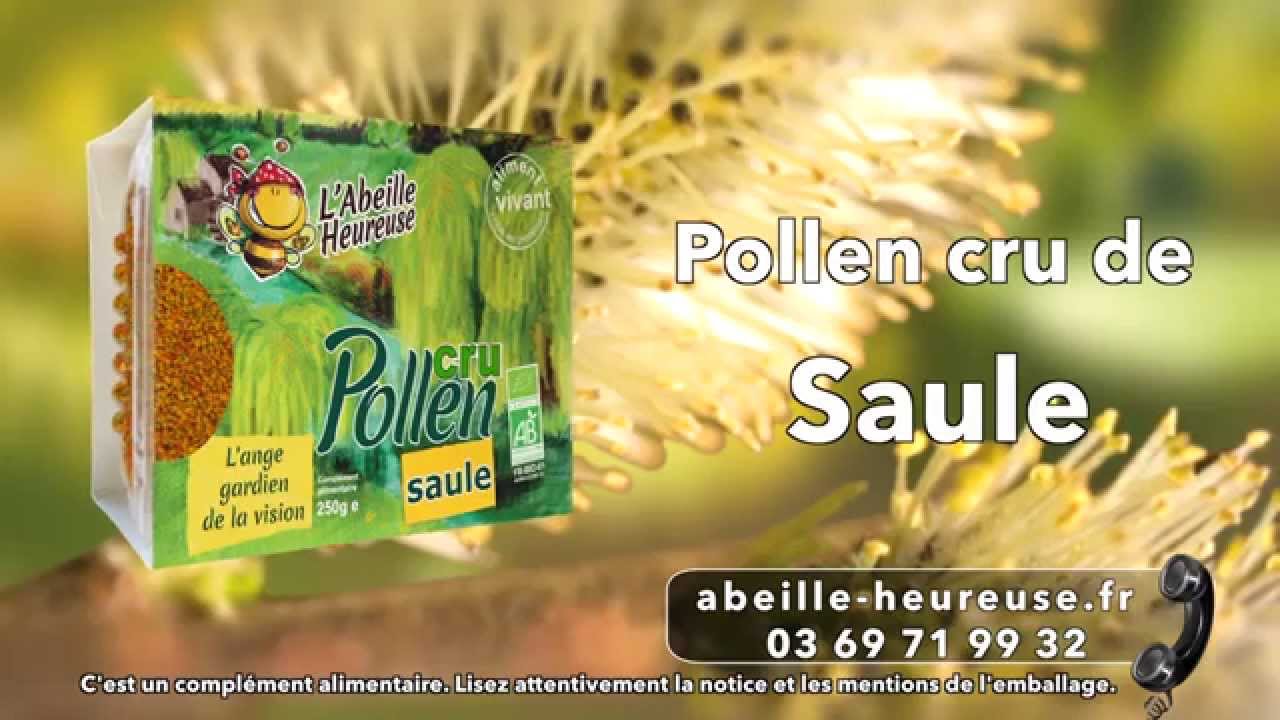 Le Pollen Cru de Saule Bio L' Abeille Heureuse