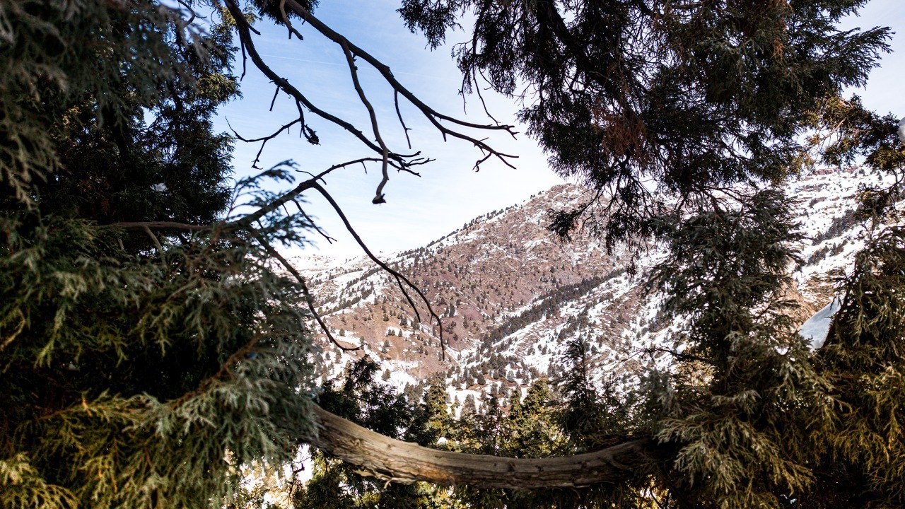 Hiking to forest with PathoraTrip