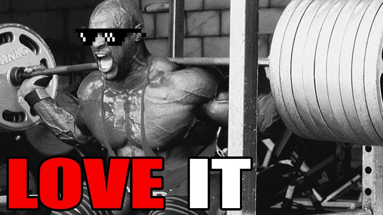 Brain Bridging: How to Fall In Love With Discipline (MoA #3)