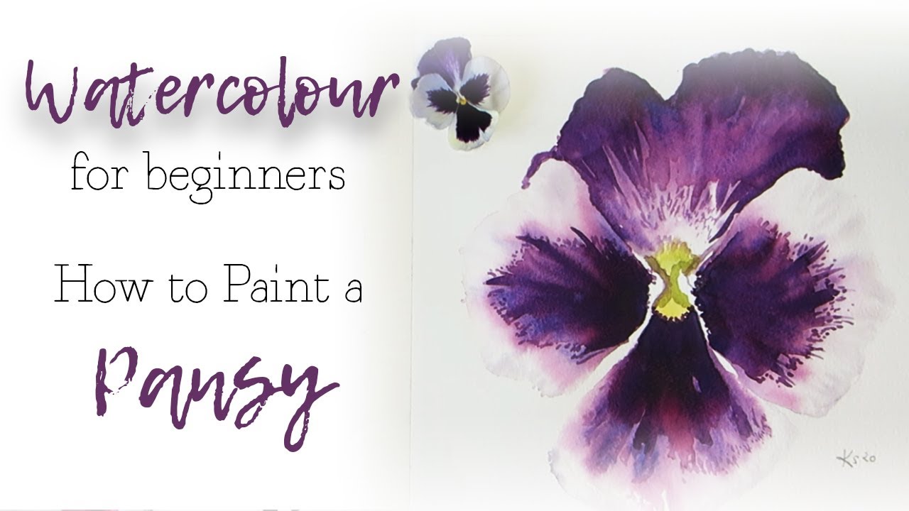 How to paint a Pansy flower in Watercolour - Watercolour for beginners