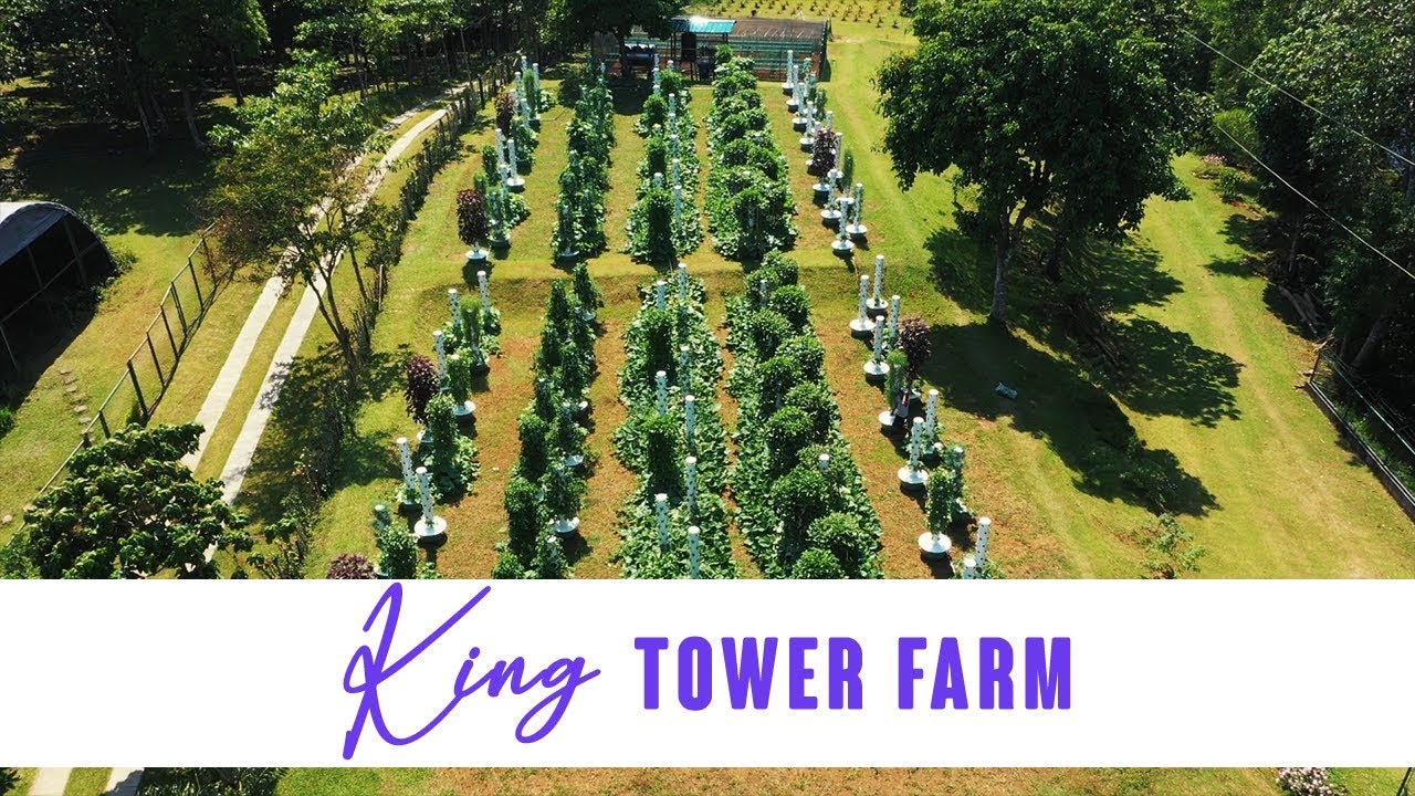 King Tower Farm | How was it Setup (2019)
