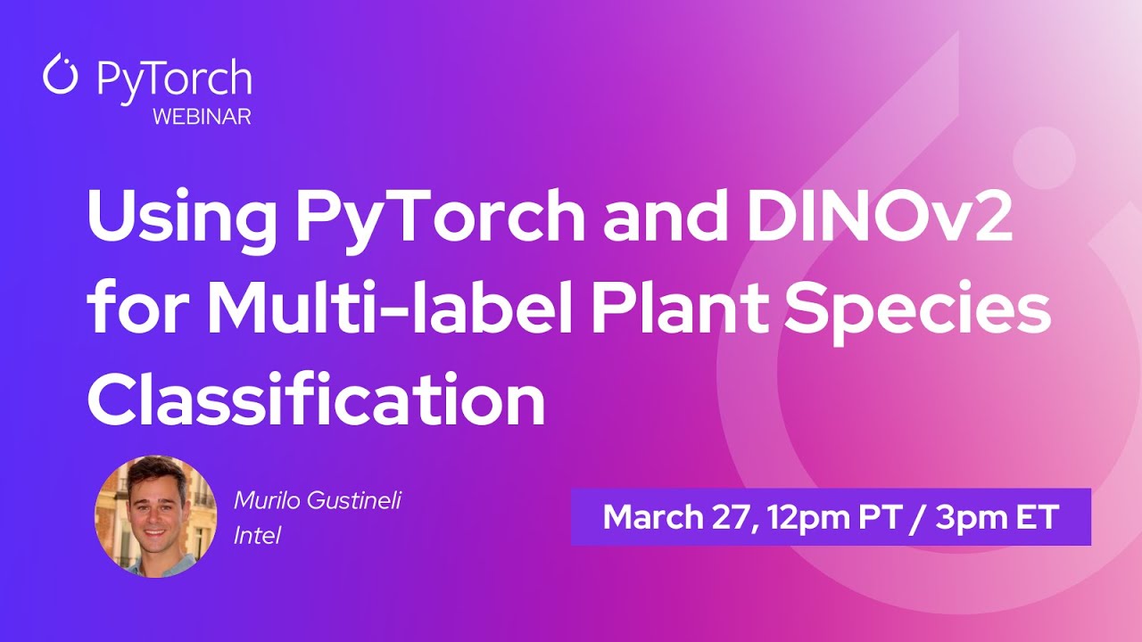 Using PyTorch and DINOv2 for Multi-label Plant Species Classification