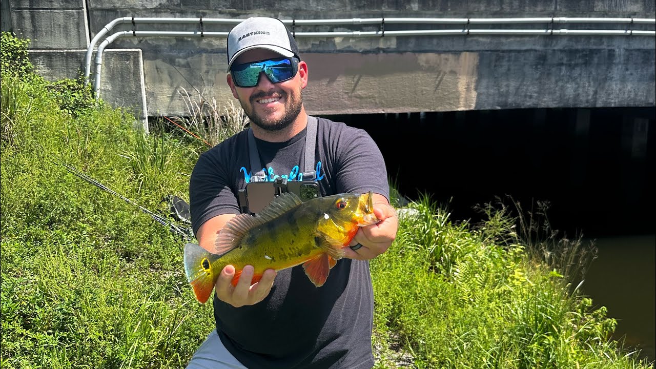 Chasing PEACOCK BASS in South Florida After Attending ICAST 2025! #peacockbass #soflo #icast2025