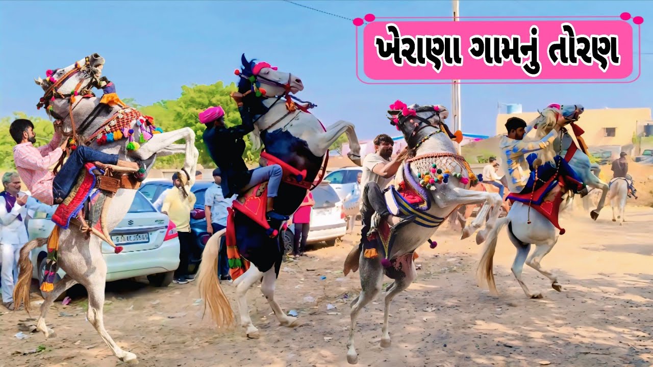 ખેરાણા ગામનું તોરણ|@ak_banna|KATHIYWADI HORSE|HORSE LOVERS|TORAN|FULEKU|HORSE VIDEO|HORSE POWER|VLOG