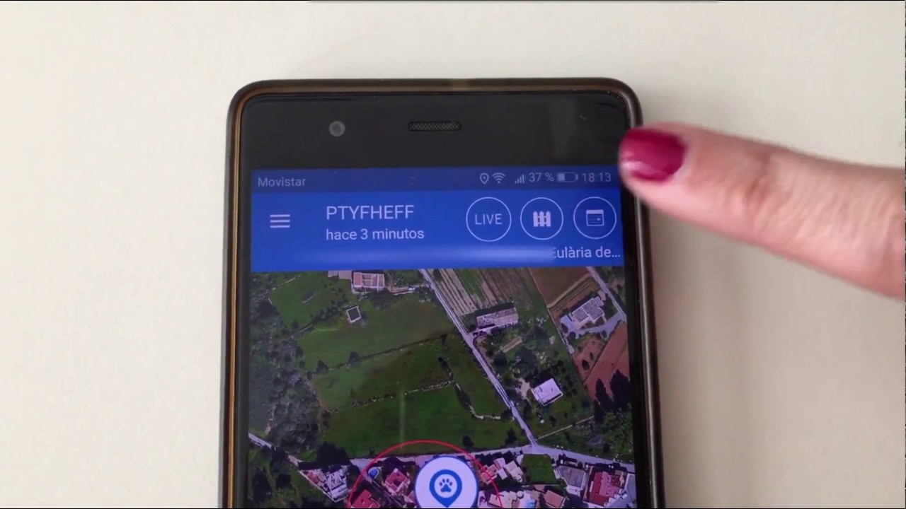 Tractive, el localizador GPS en tiempo real para perros