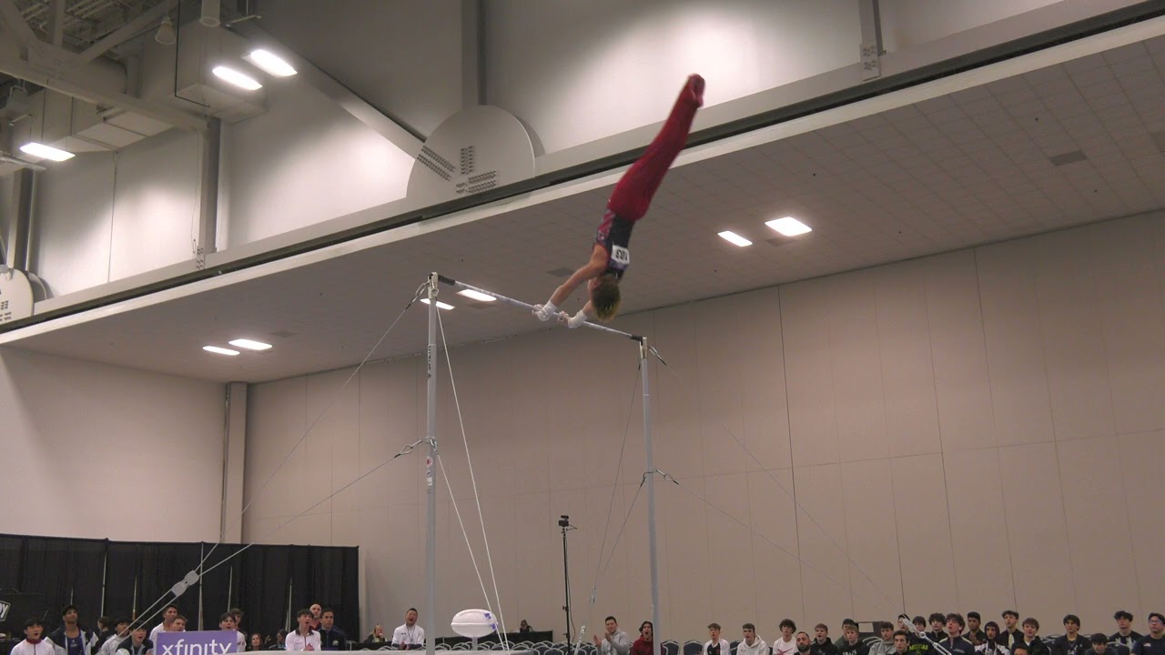 Danila Leykin - High Bar - 2024 Winter Cup - Men Day 2