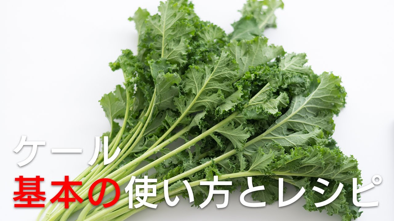 【ケール 基本の使い方とレシピ3選】意外なケールの味噌汁・ケールのジェノベーゼ風パスタ・ケールのはちみつドレッシングサラダ