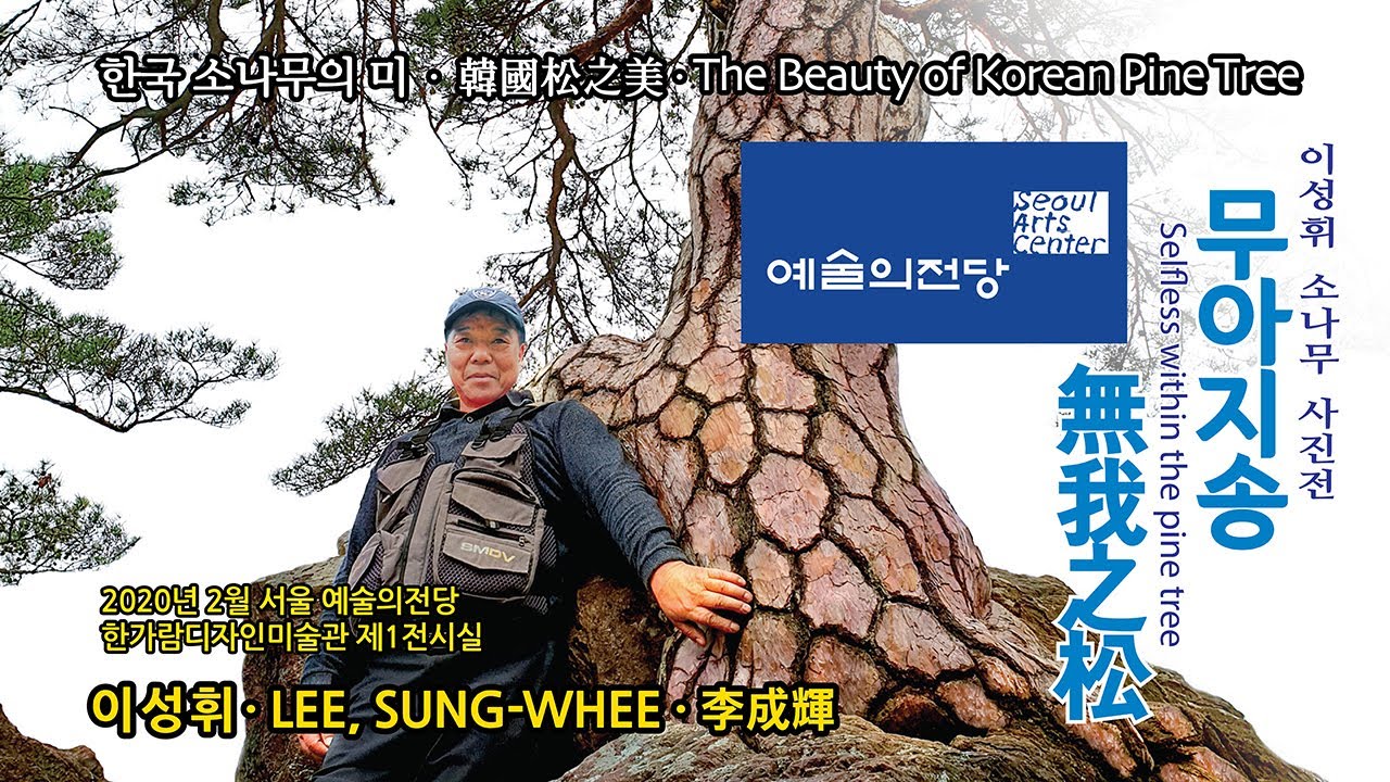 '무아지송' 이성휘 [예술의전당 소나무 전시회] / 20년 2월 한가람디자인미술관 제 1전시실