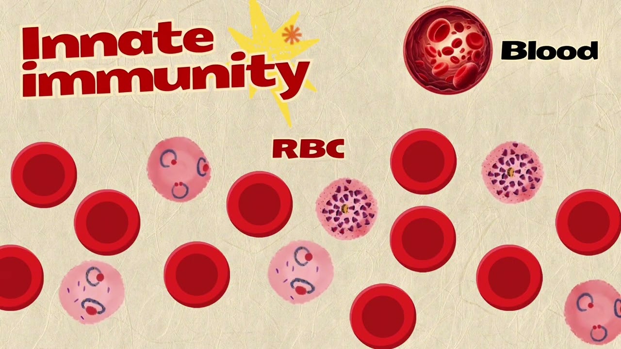 Gr6 Immunity to protozoa