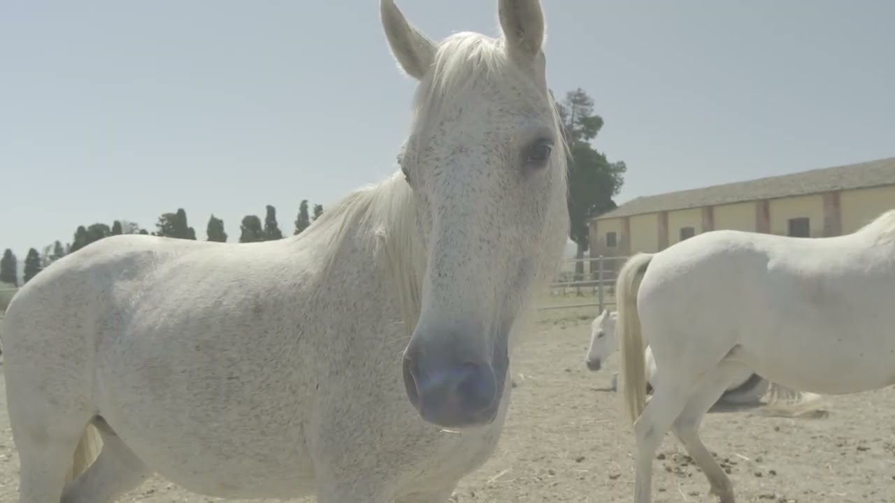 FMDC 22 | Alla scoperta di Tenuta Ambelia