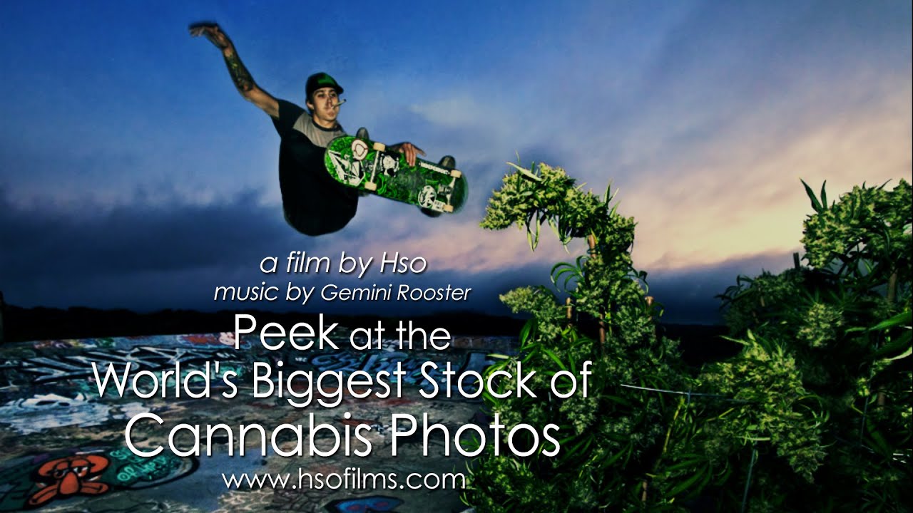 Biggest Stock of Cannabis Photos (2:53)