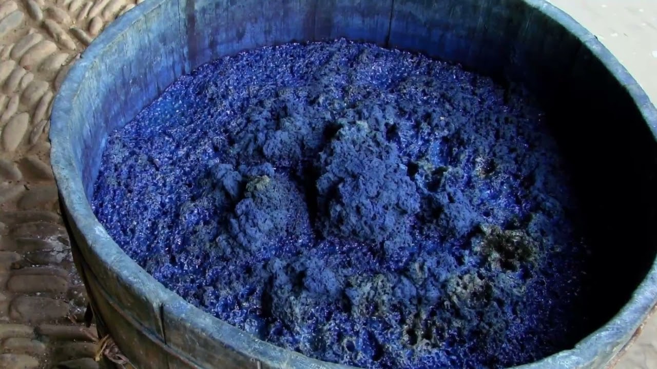 The Lost Blue of the Bible: Tekhelet’s Mystery & Revival | Baruch Sterman (May 31 - June 9, 2023)