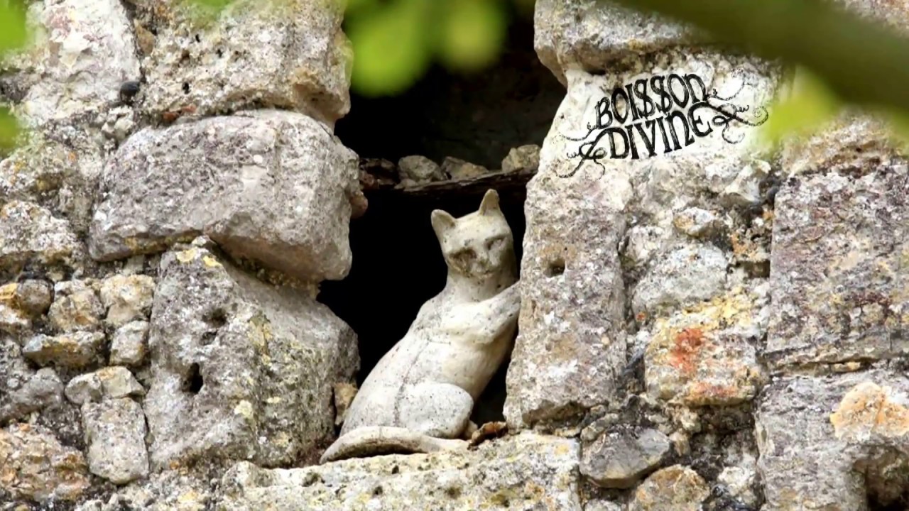 BOISSON DIVINE - Los gats de l'Arromiu (Demo - Volentat Bonus track)