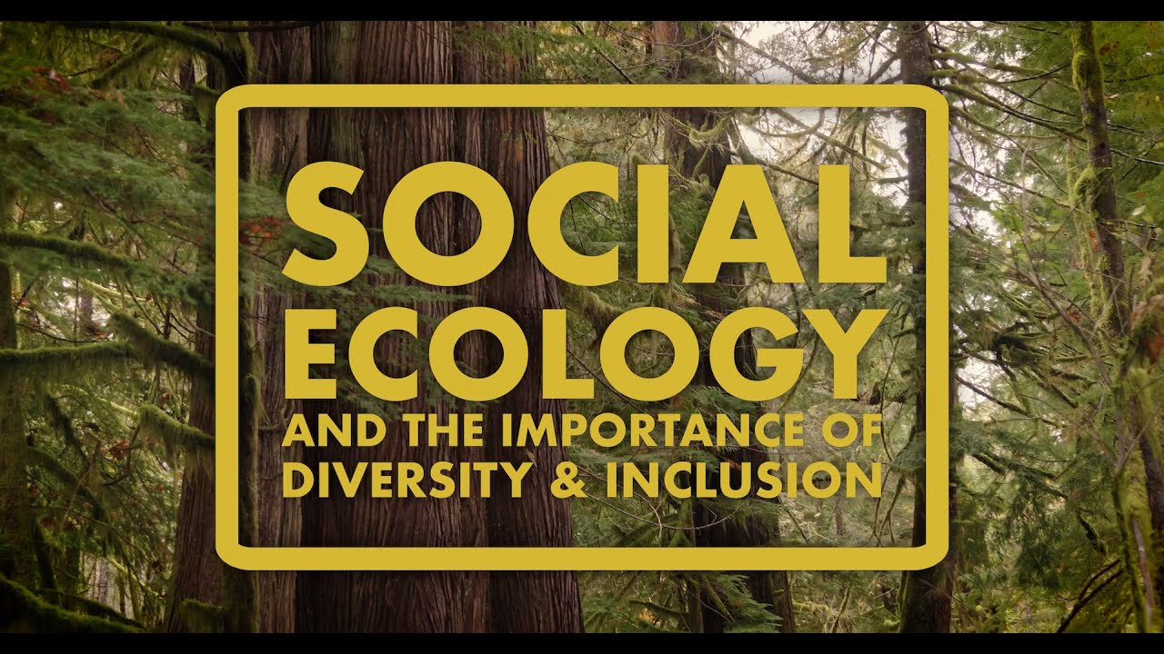 Social Ecology and the Importance of Diversity & Inclusion