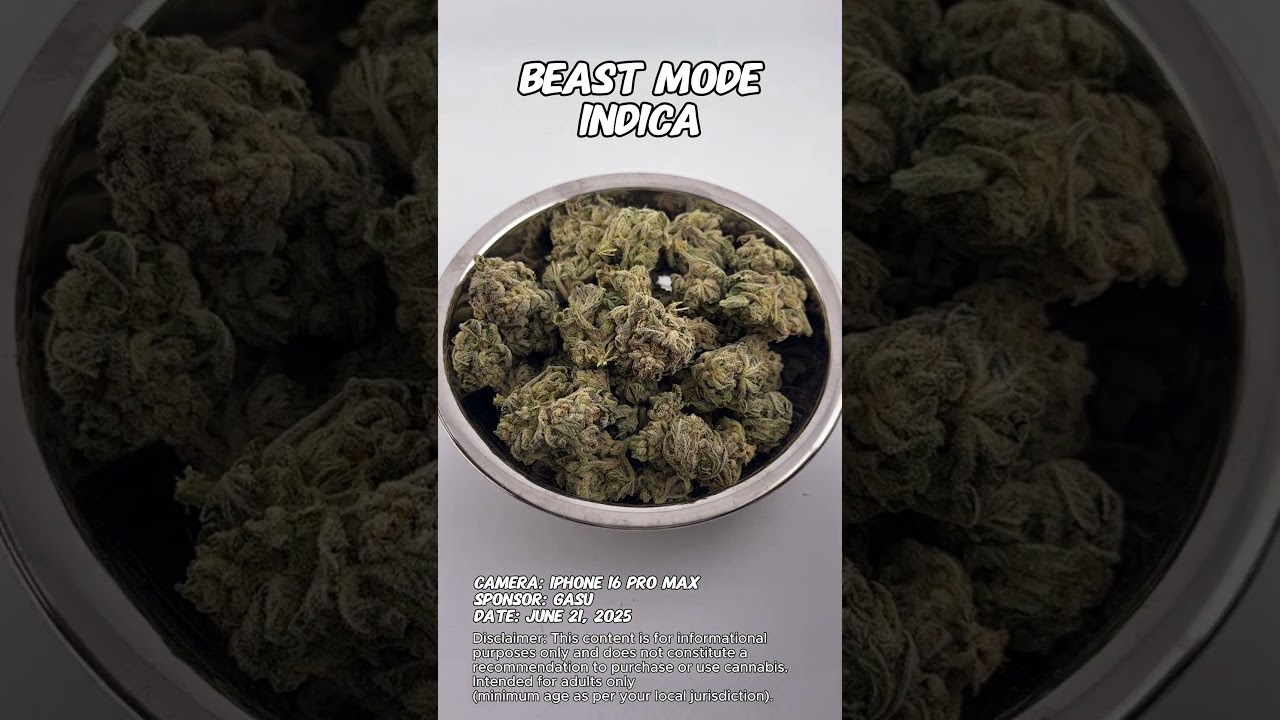 Beast Mode | Gasu Sponsored | Strain Spotlight