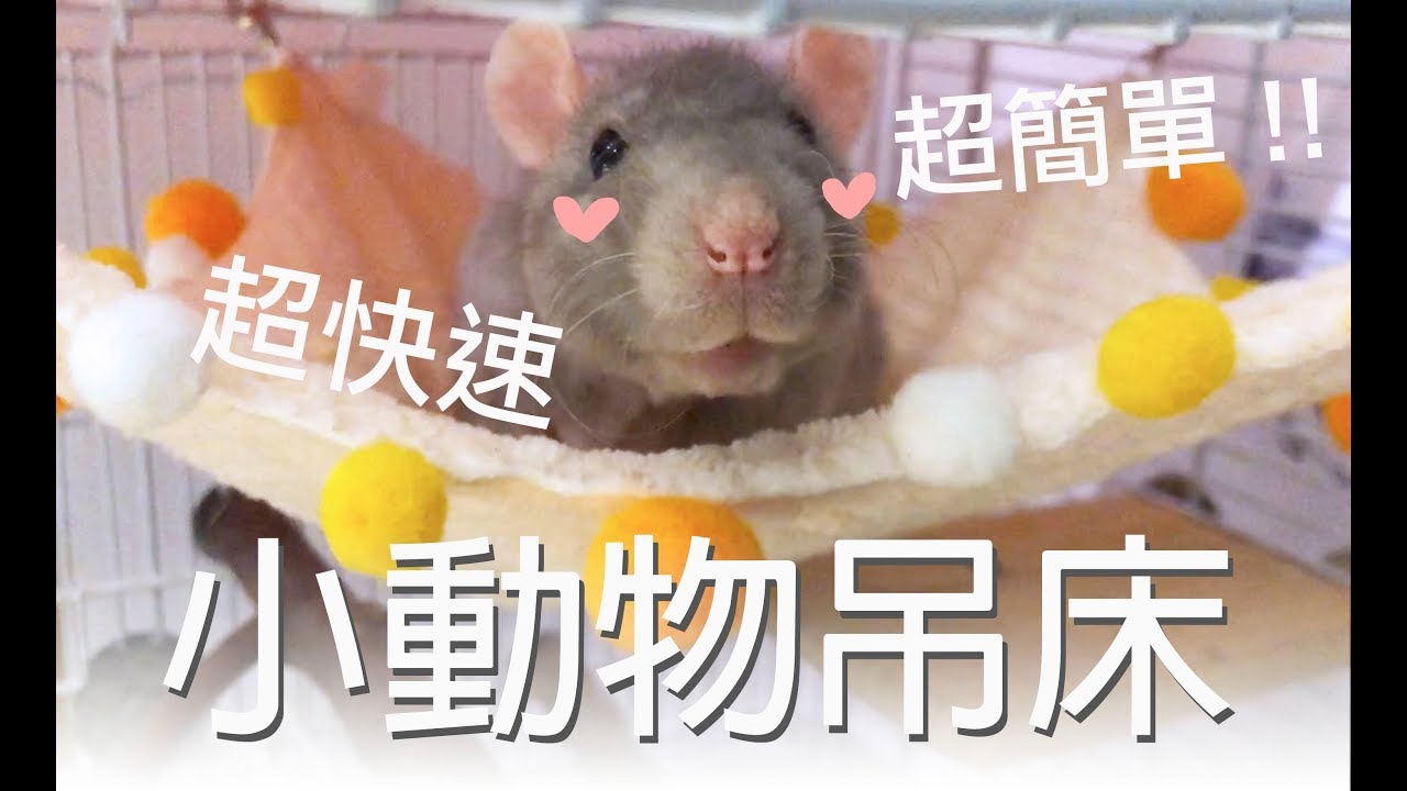 【海豬Seapig】小動物吊床！超級簡單 快速作法！