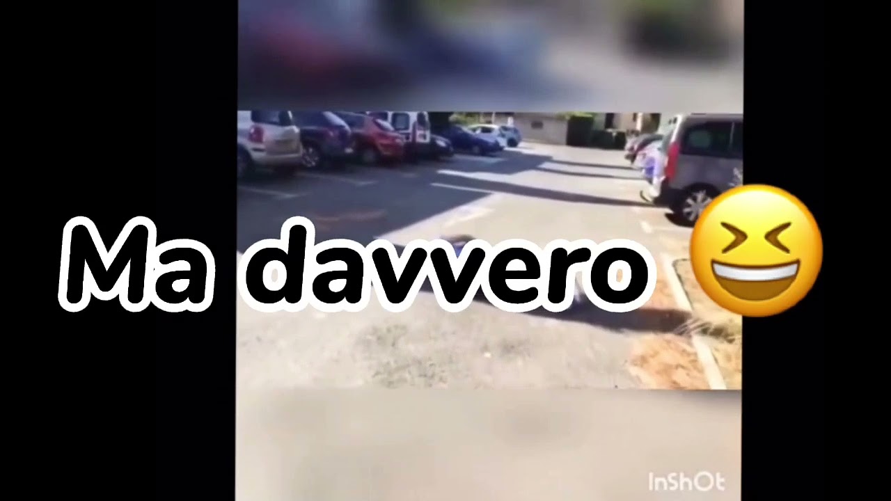 Ti ricordi quando eravamo sconosciuti?🤔