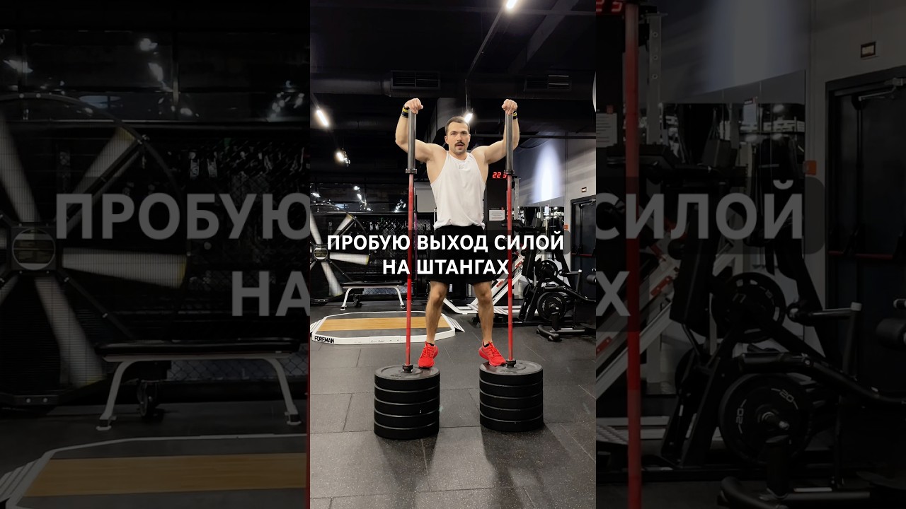 Навели суеты в зале