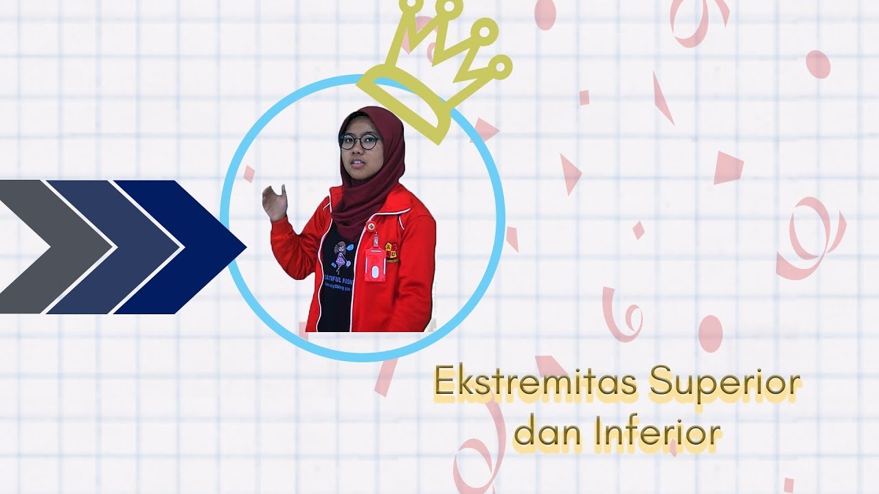 Ekstremitas Superior dan Inferior - Part 5 | Anatomy Community eps.05
