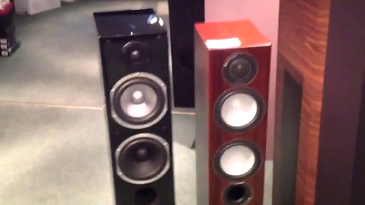 Taga Harmony Coral F-80 vs. Monitor Audio RX6