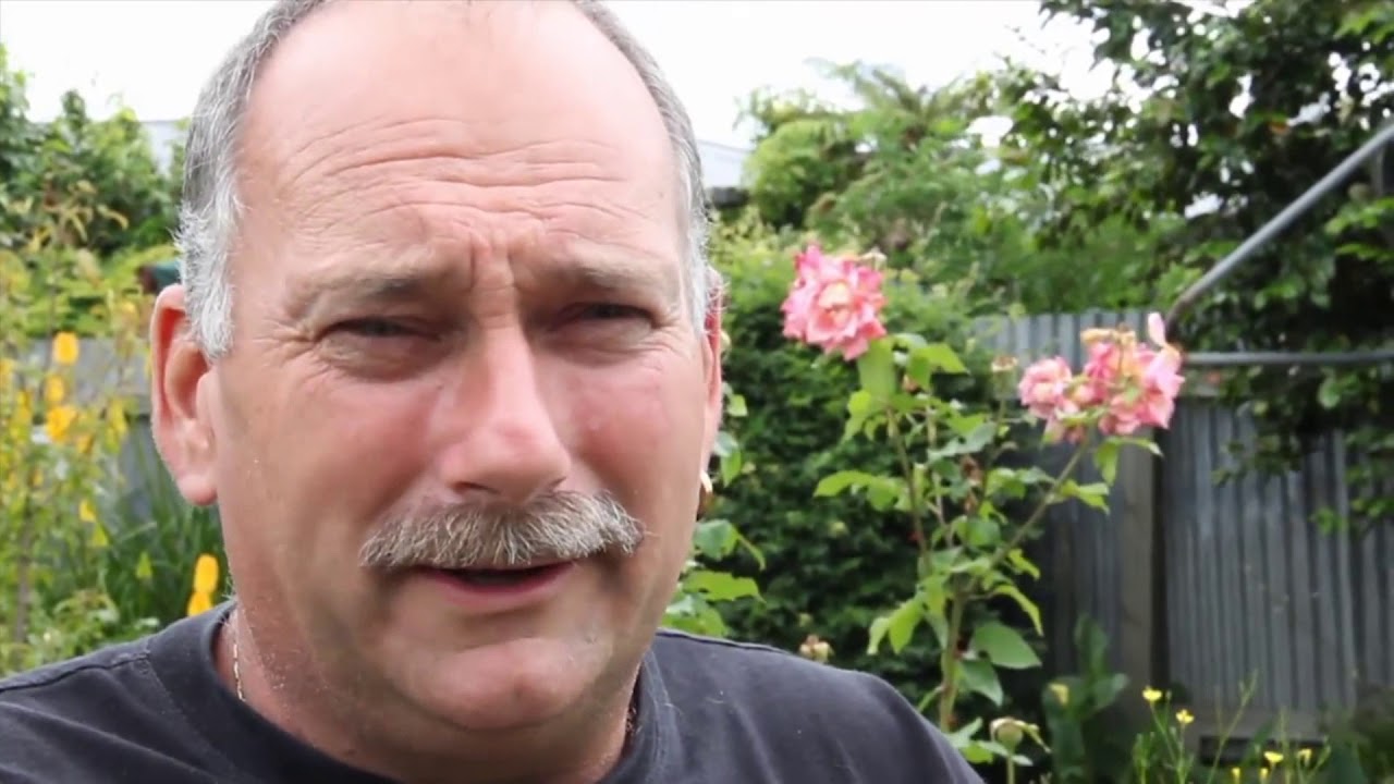 НОВОЕ НЕБО И ЗЕМЛЯ   И Клейтон