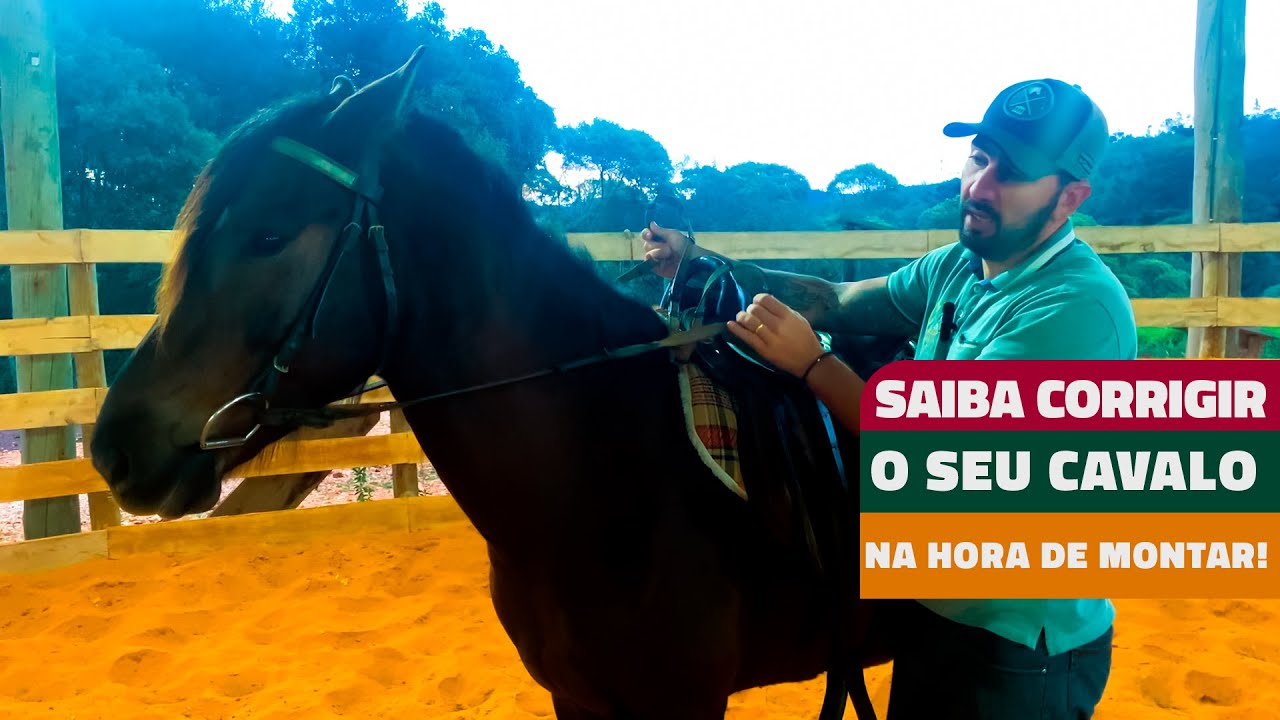 SAIBA COMO CORRIGIR O SEU CAVALO  NA HORA DE MONTAR!