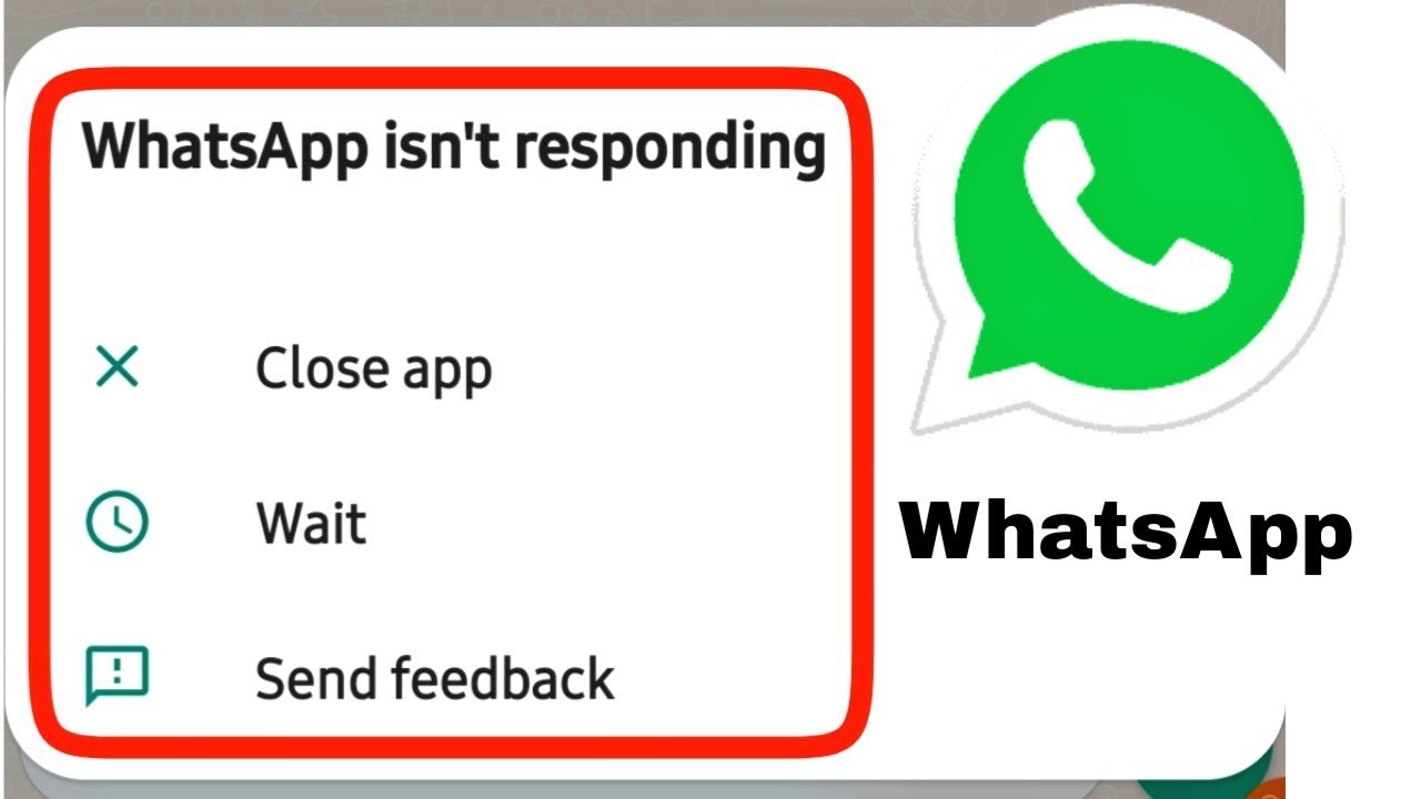 Whatsapp Isn't Responding Problem Solve