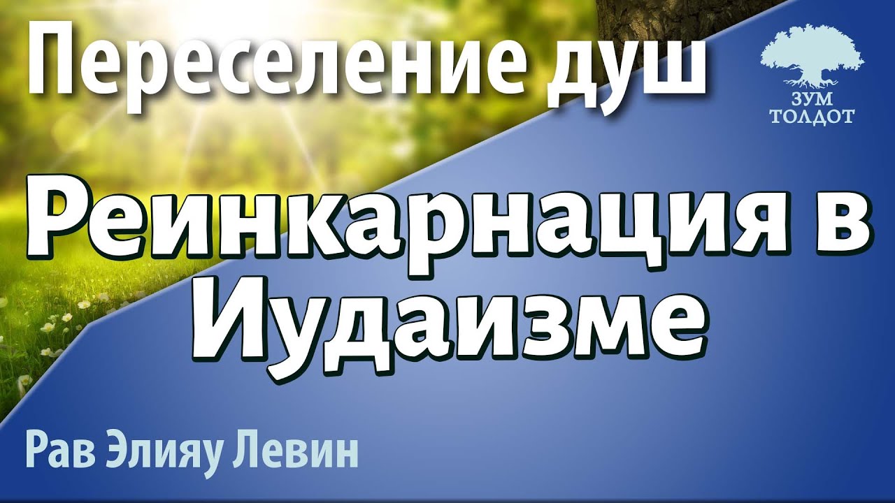 Переселение душ. Реинкарнация в Иудаизме. Рав Элияу Левин