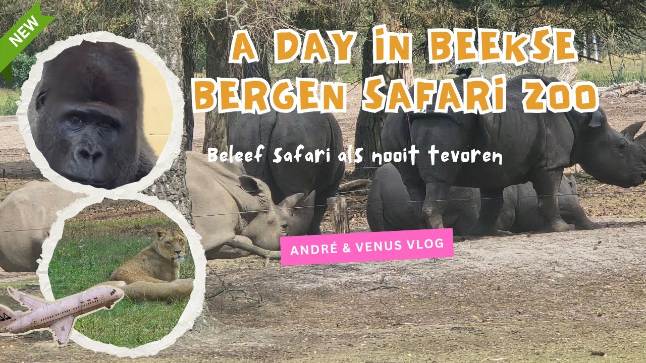 BEEKSE BERGEN 2025 | André & Venus