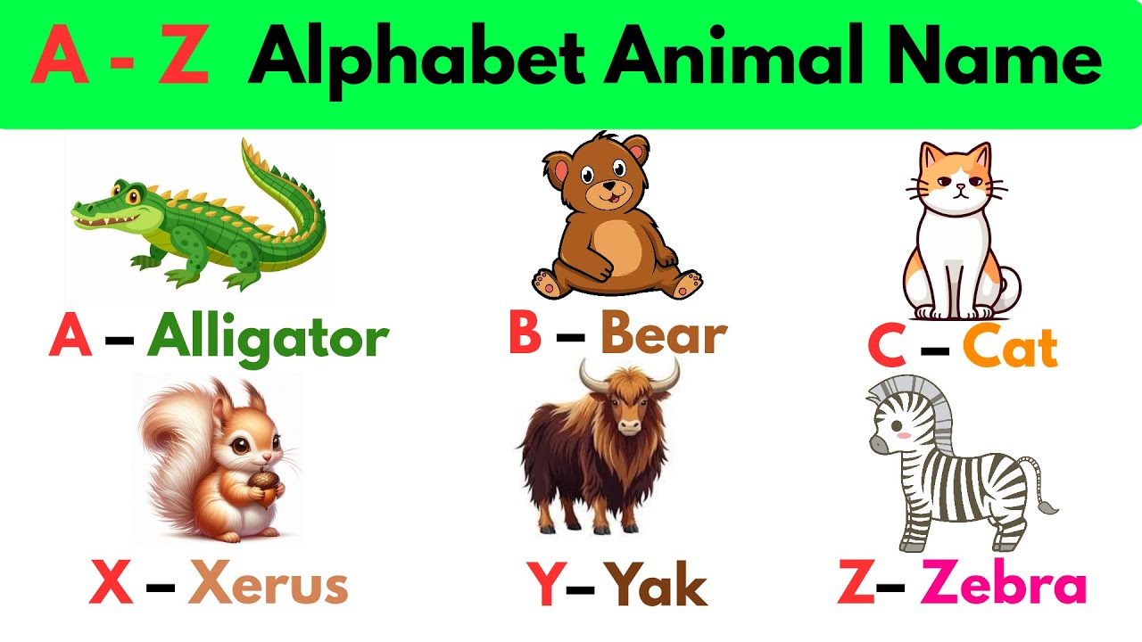 A to Z Animals for Kids 🐘🦓 | Learn Animal Names from A-Z with Fun alphabets!🌟🚀📚