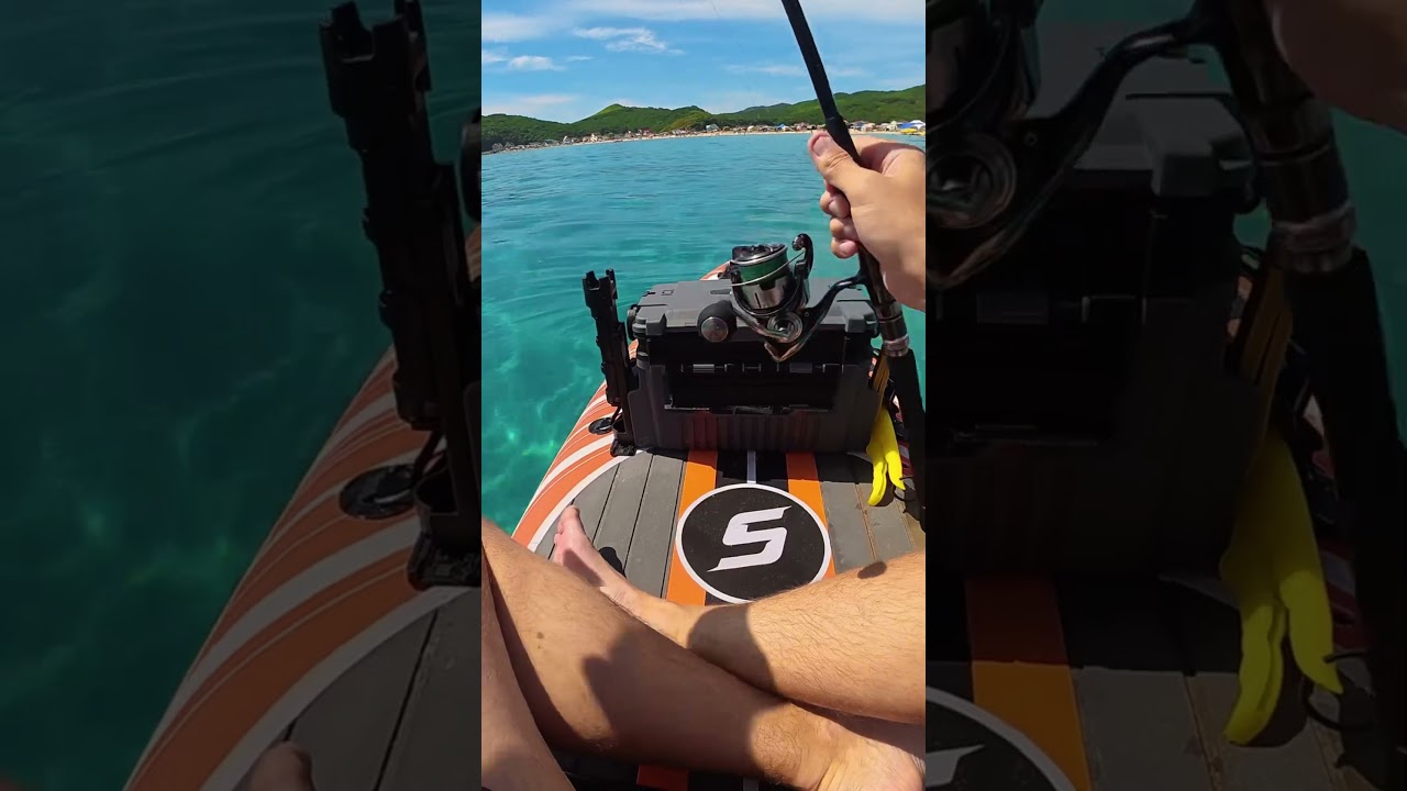 Seriola #лакедра #supboard #supfishing #fishing #fishingvideo #fishinglife #приморье #рыбалка