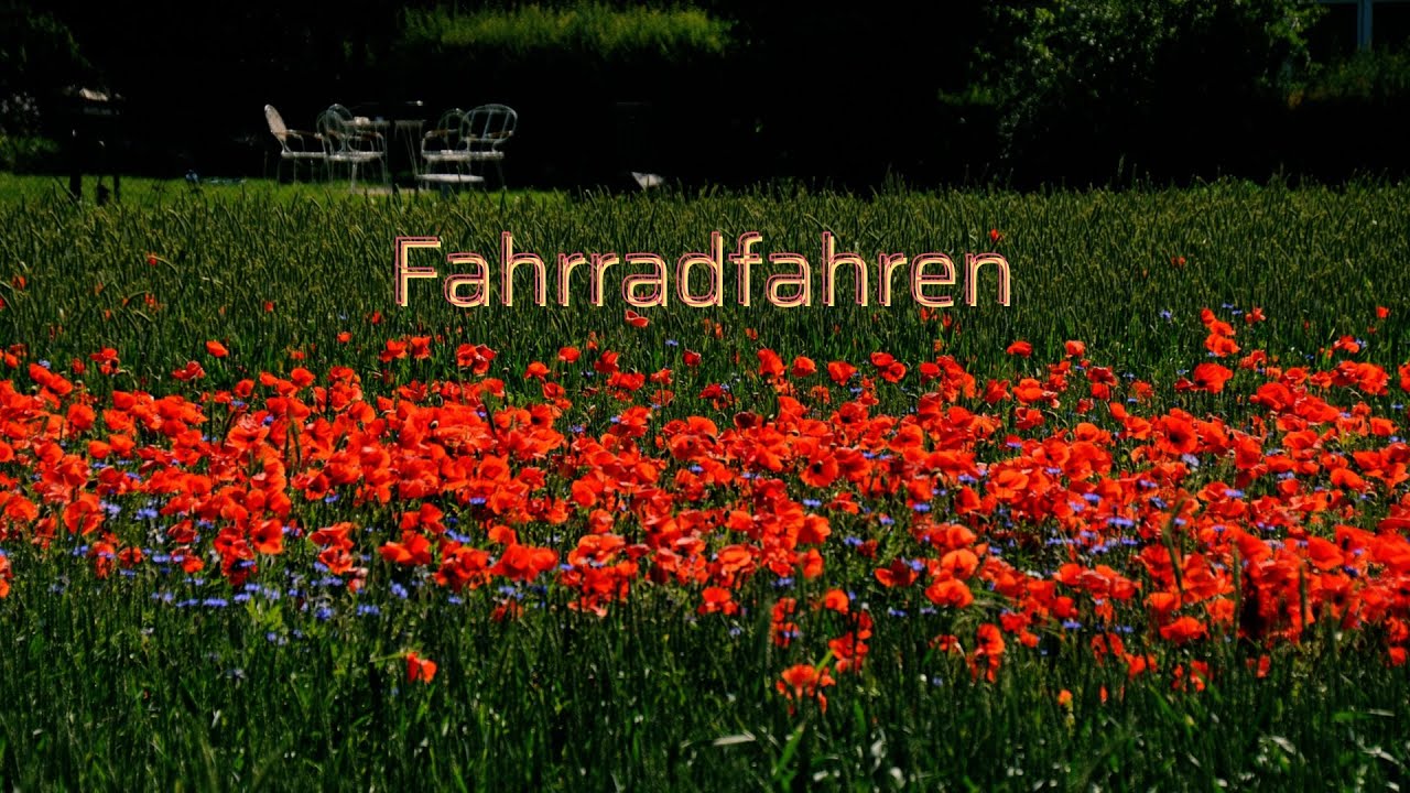 Fahrradfahren #reggae #reggaemusic #fahrradfahren