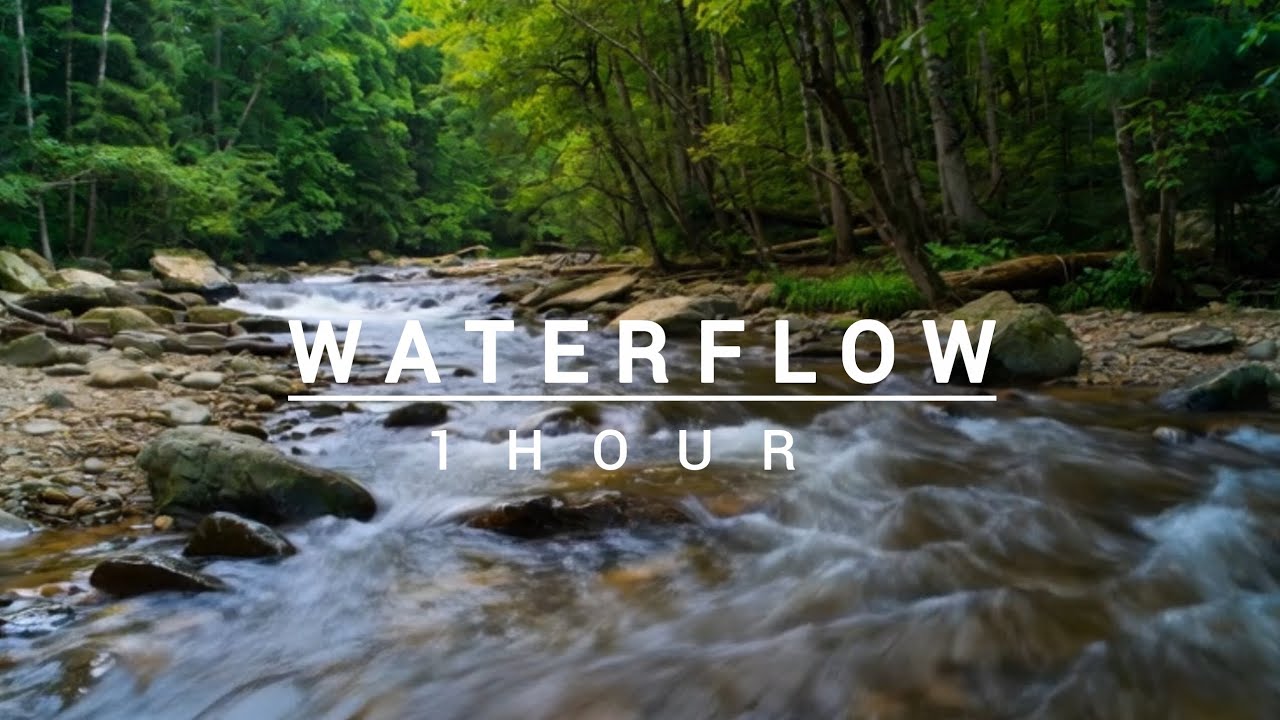 WATERFLOW 🌊 | 1 Hour | Soothing Waterfall Sounds for Deep Study & Peaceful Sleep 📚🌙