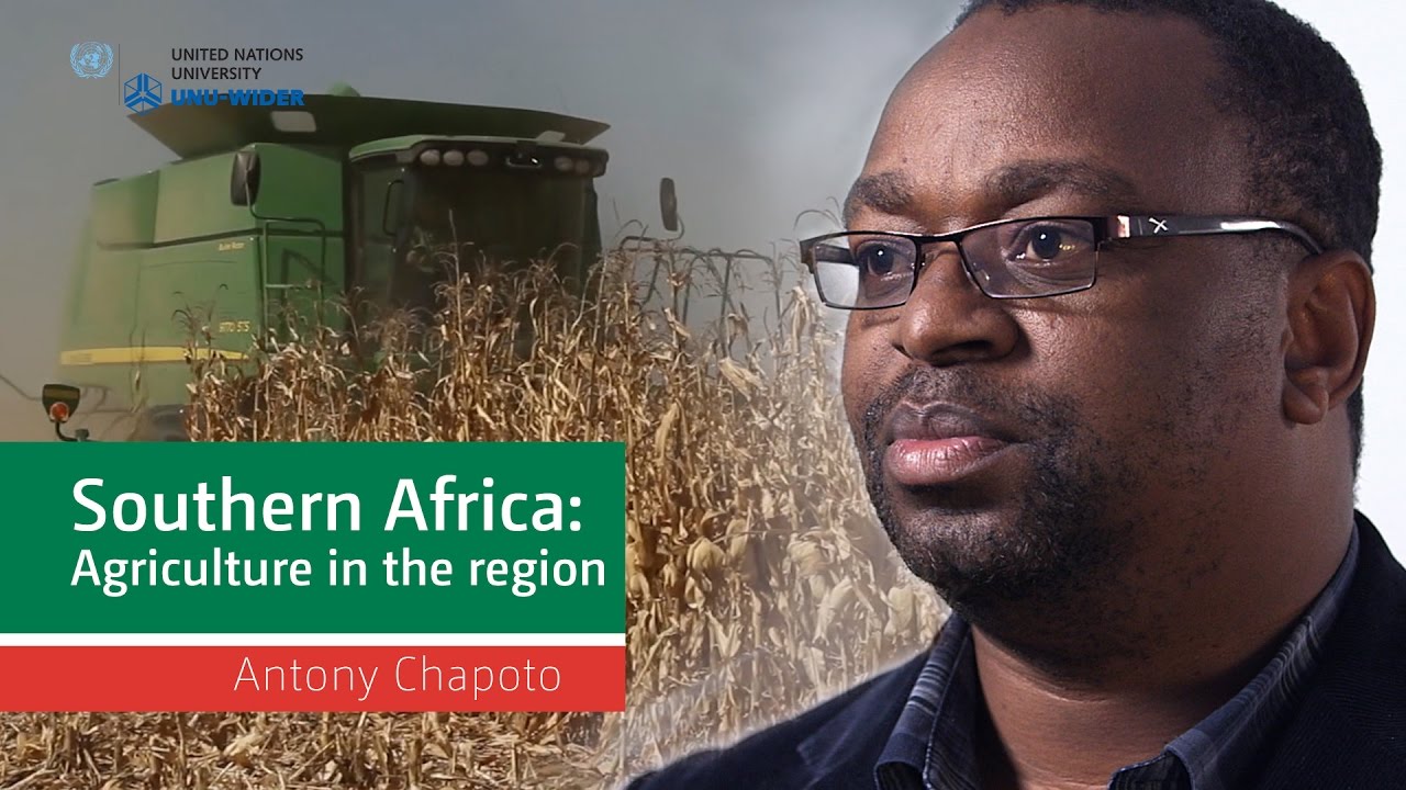 Antony Chapoto – Agriculture in the region