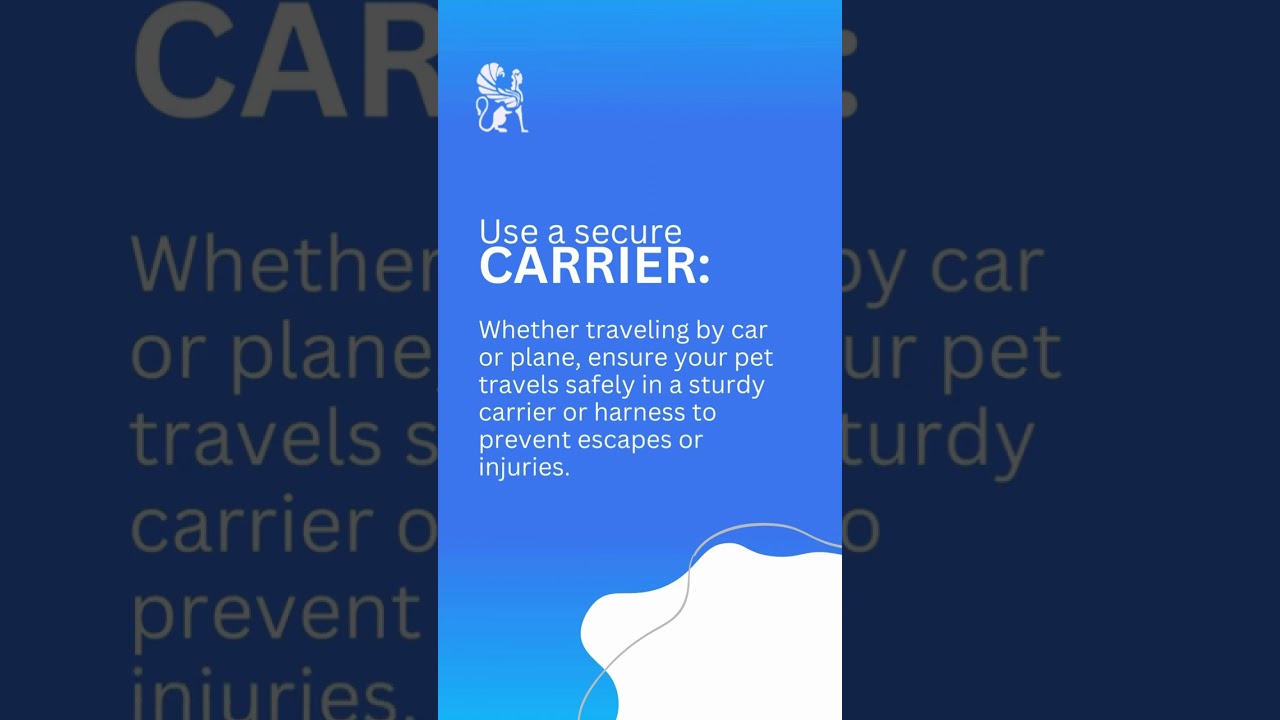 Travel Tips for Our Furry Friends