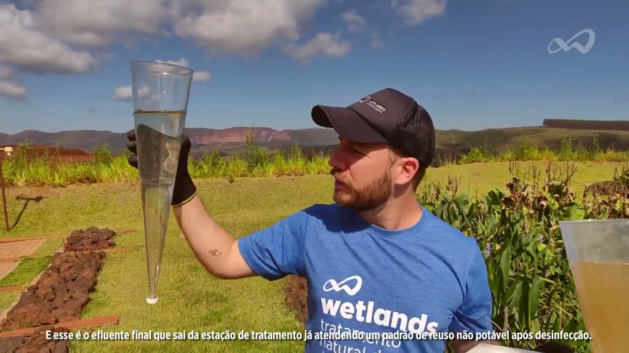 ETE WETLANDS EFLUENTE SANITARIO INDUSTRIAL