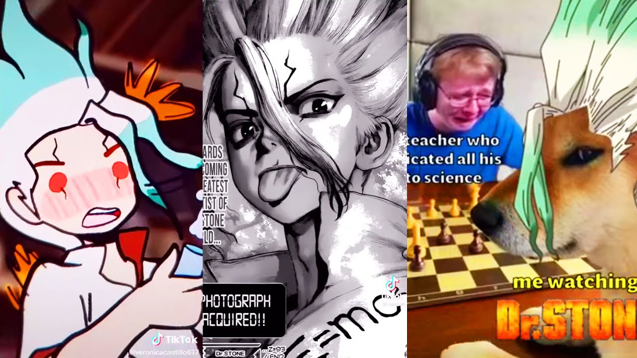 Dr. Stone TikTok Compilation That Made Taiju Get A PHD