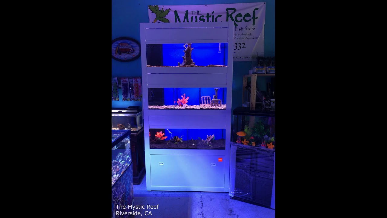 Aquarium retail rack systems AIO