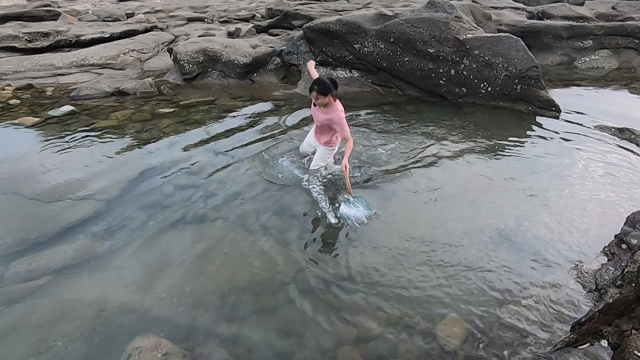 抽水坑时看到大鱼乱窜，皮皮忍不住跳下去抓，这可是一条天星鲳