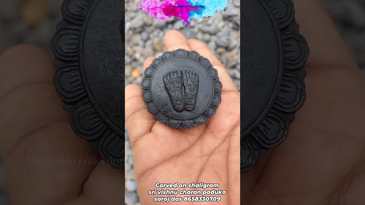 Shaligram - vishnu charan paduka  - gandaki river shaligram   💐💐 #shorts #short #shortsfee