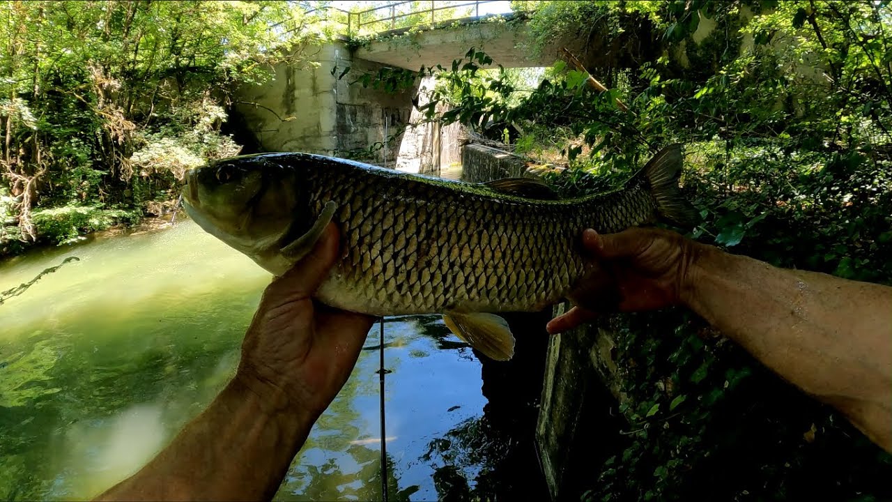 La p&ecirc;che &agrave; l'ultra l&eacute;ger sur des spots insolites...
