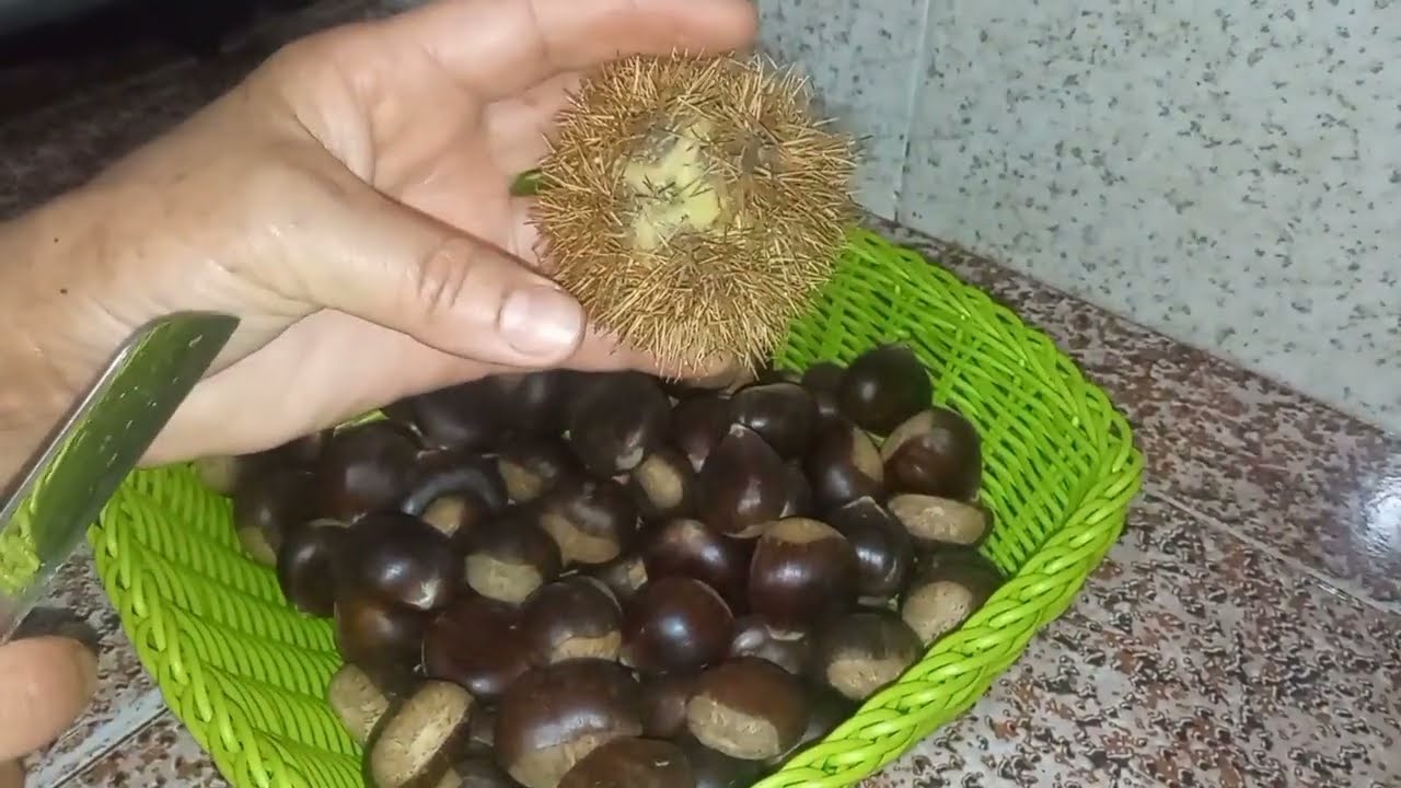 دخلو تشوفو طريقة تحضير castaña أو كوسطال 🌰♥️