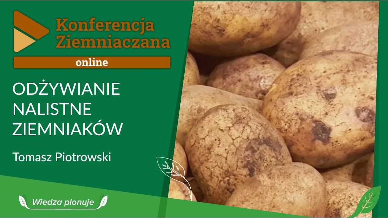 Odżywianie nalistne ziemniaków - konferencja ziemniaczana Agrosimex