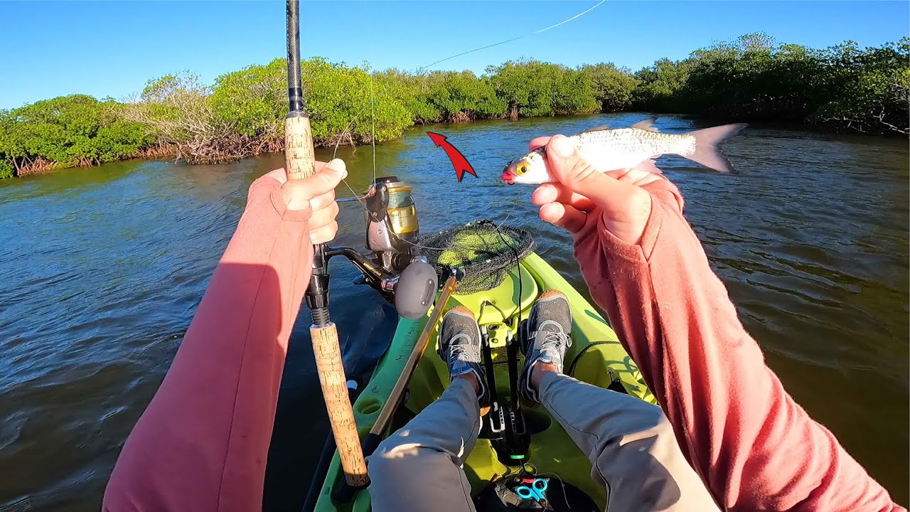 SIGHT FISHING AND CATCHING BIG FISH ALONG A MANGROVE ISLAND -  Sebastian FL SNOOK