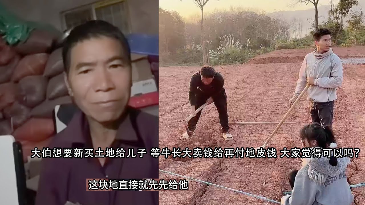 大伯也想要新买土地 留给儿子 等给牛卖了再付地皮钱 大家觉得可以吗？