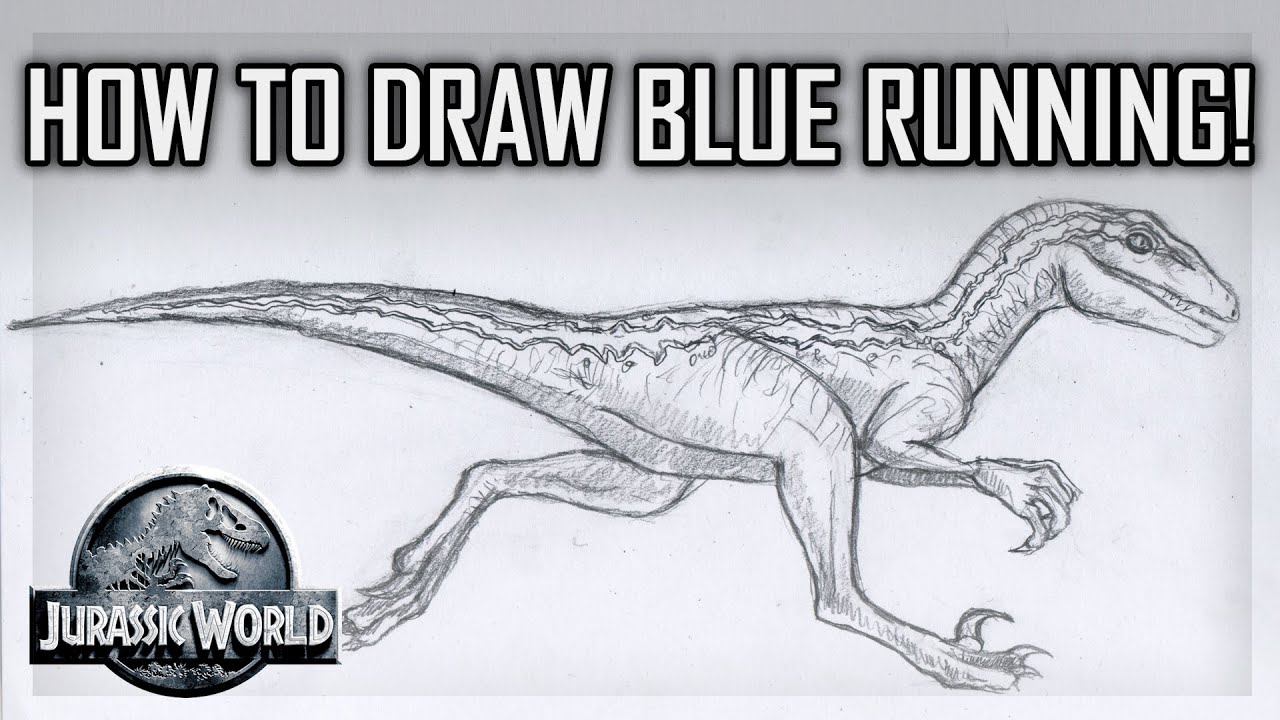 How to Draw Blue the Velociraptor - Jurassic World
