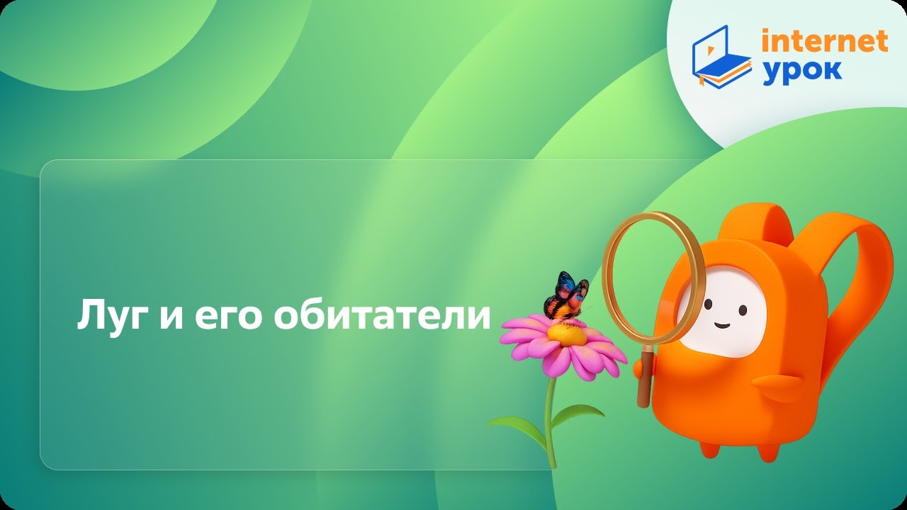 Окружающий мир 3 класс. Луг и его обитатели