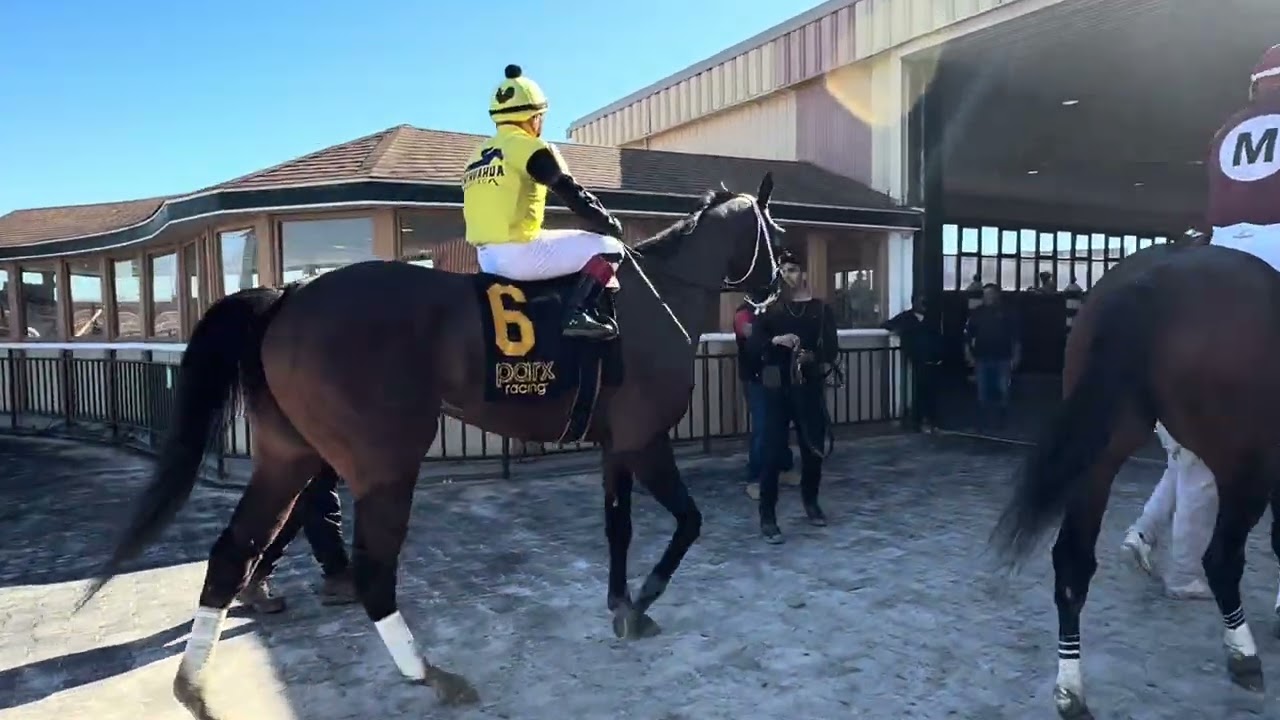 The front running Sonadora Girl does it again with a win with  jockey Andy Hernandez riding to win